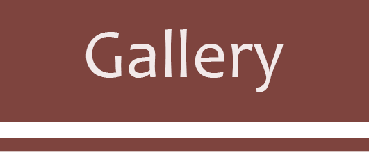 Gallery Icon